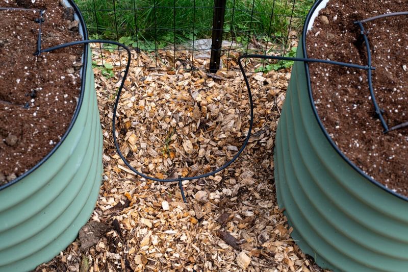 Adjust the routine for beds, soil, and containers