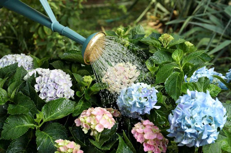 Maintain Consistent Soil Moisture