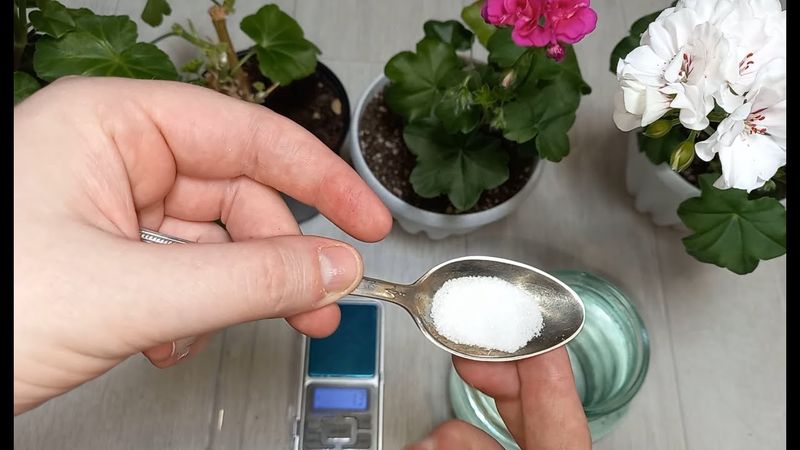 Stir Up a Yeast Fertilizer
