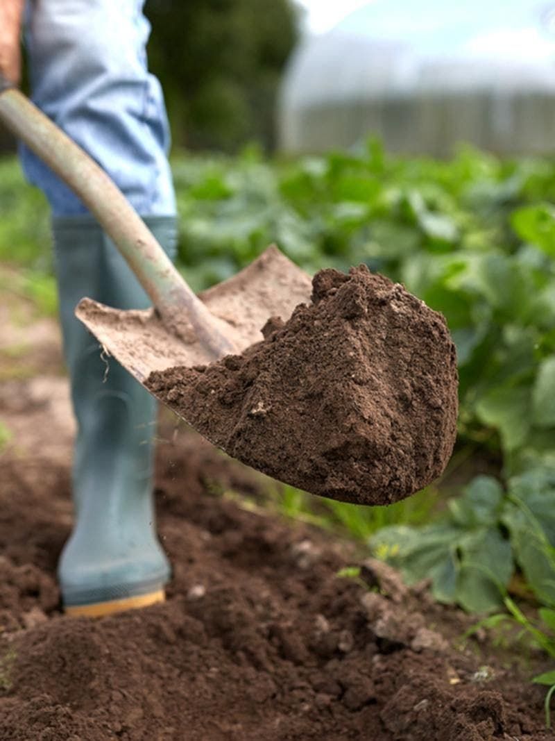 Forgetting to Refresh Tired Soil