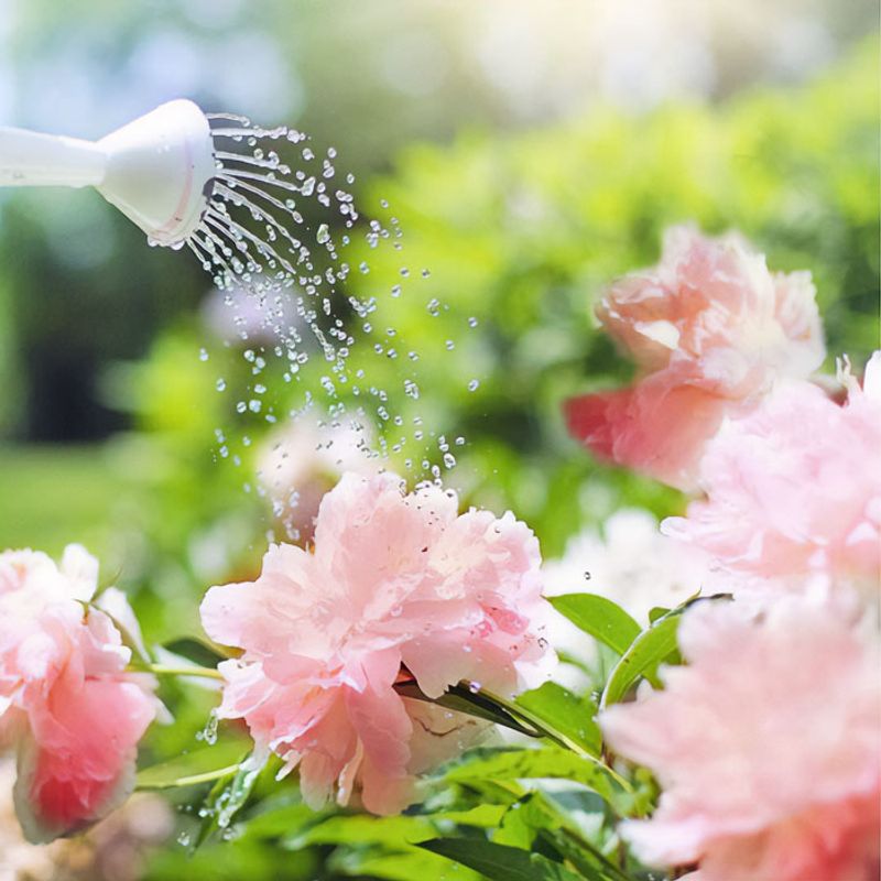 Water Consistently and Appropriately