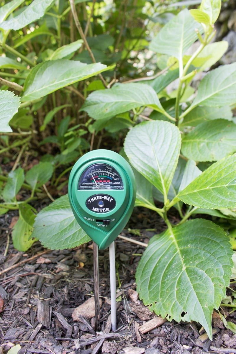 Probe the root zone before watering again