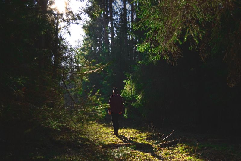 Nature exposure offers a plausible stress backdrop