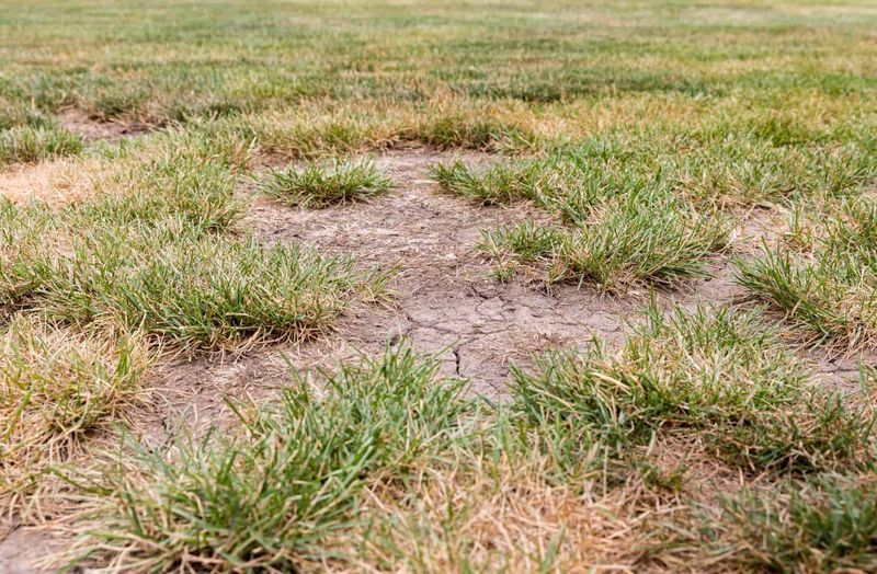 Exposed soil calls for a different repair plan