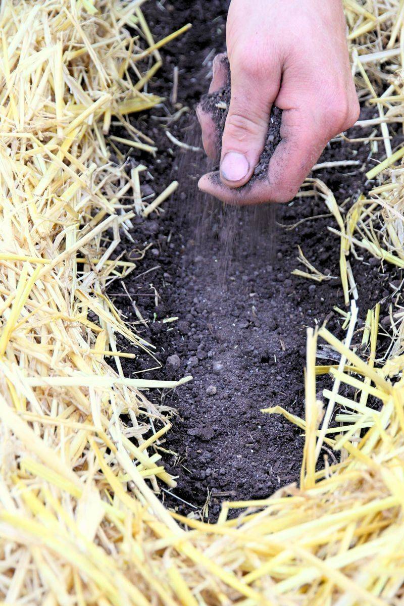 Keep Weeds Out of the Bed