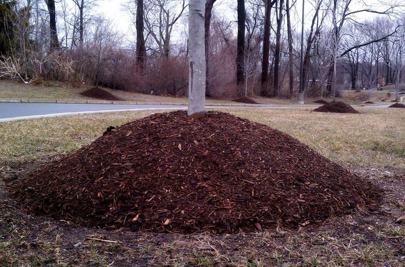 When mulch becomes cover instead of decoration