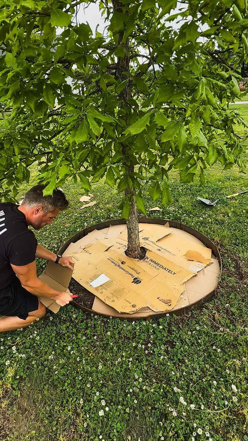 Plant for the mature tree and protect its establishment