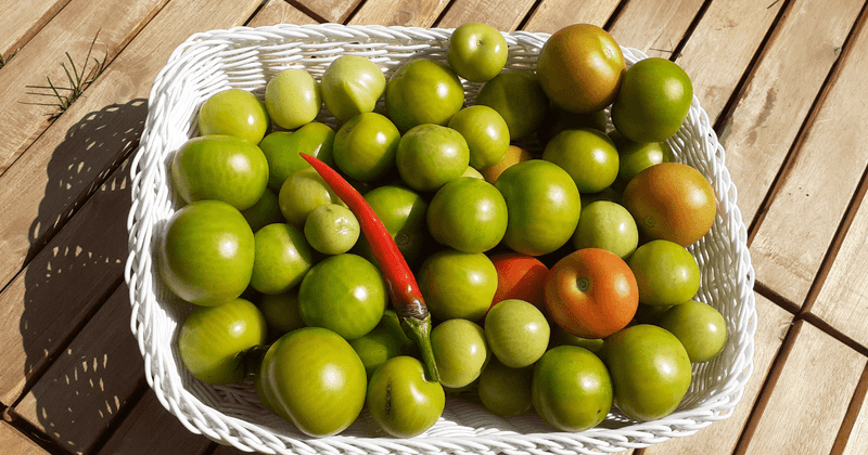 Save the fruit that is ready to finish