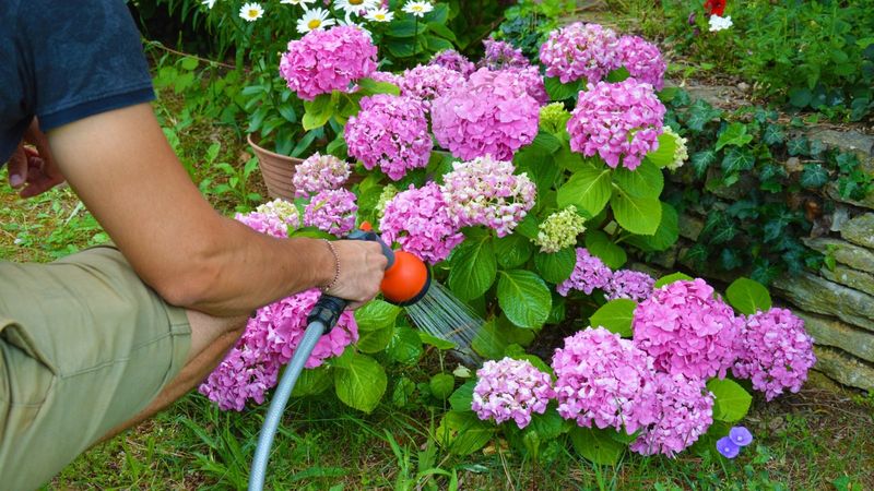 Keep Watering Until the Ground Freezes