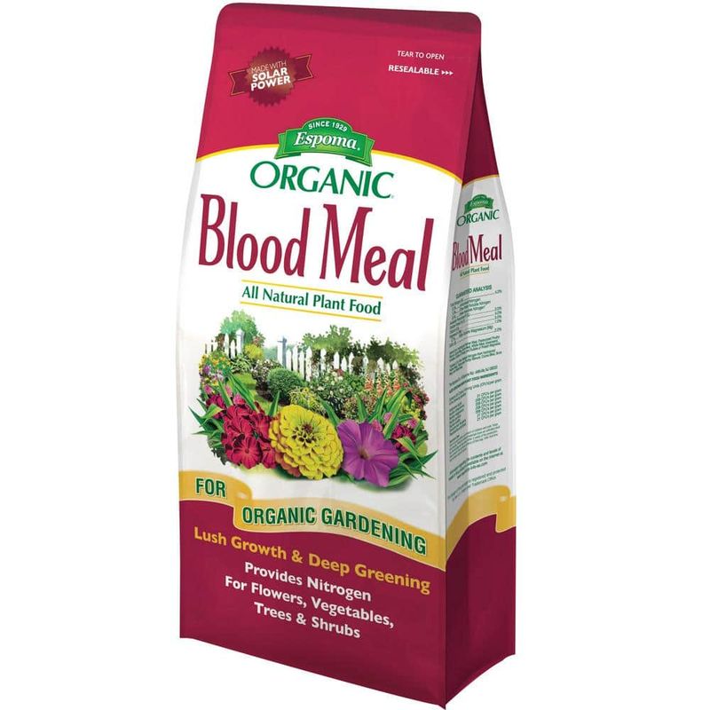 Blood Meal