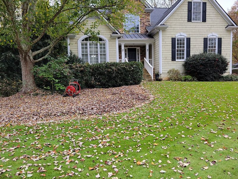 Established lawns follow different leaf rules