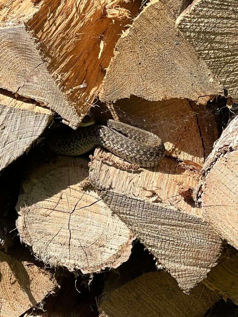 Piles of Wood, Rocks, or Debris