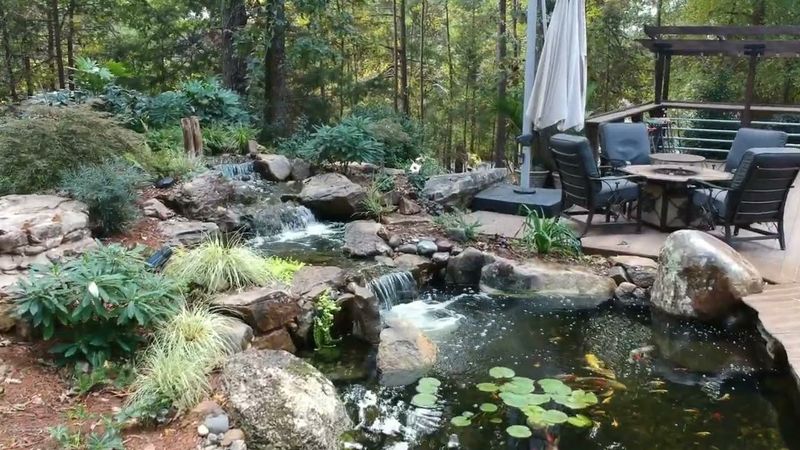 Fish and frogs may need different kinds of ponds