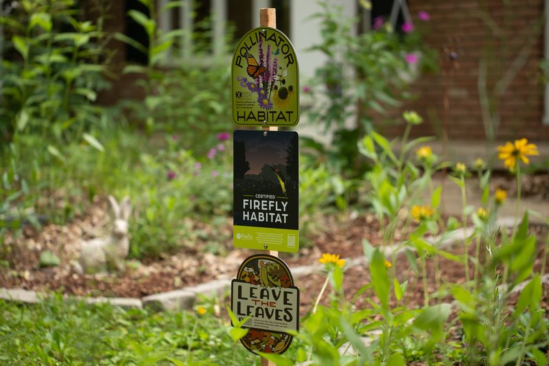 Manage the surrounding yard as habitat
