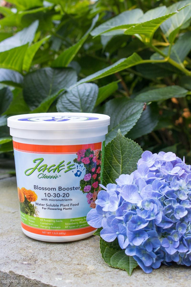 Use a Bloom-Boosting Fertilizer
