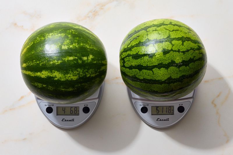 It feels unusually light for its size