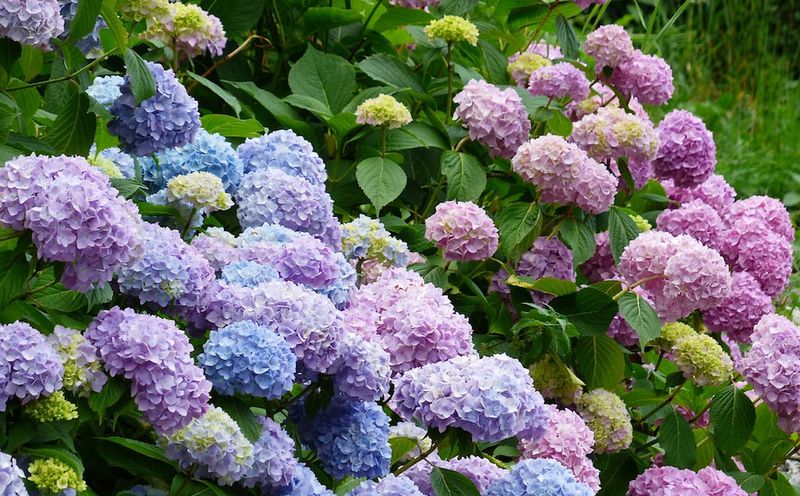 Avoid unmeasured shortcuts and judge results over more than one season