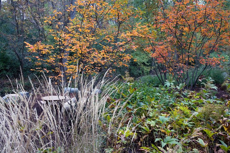 Build a habitat instead of chasing a guarantee