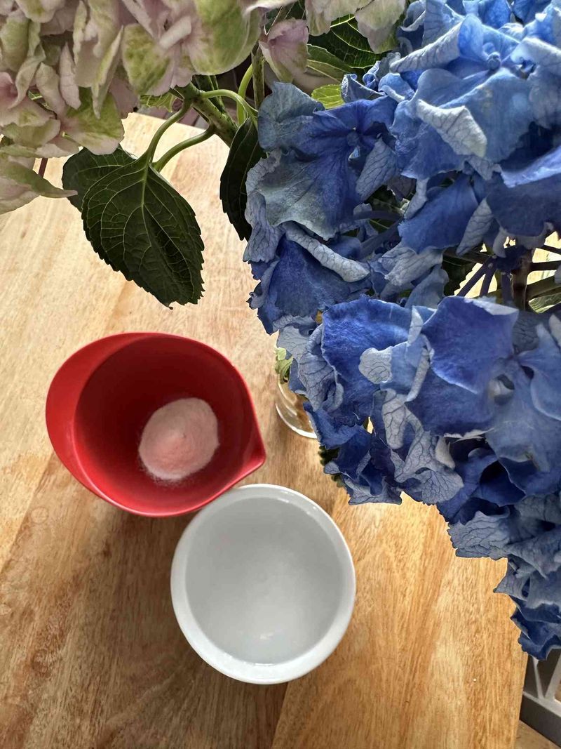 Try A Pinch Of Alum Powder