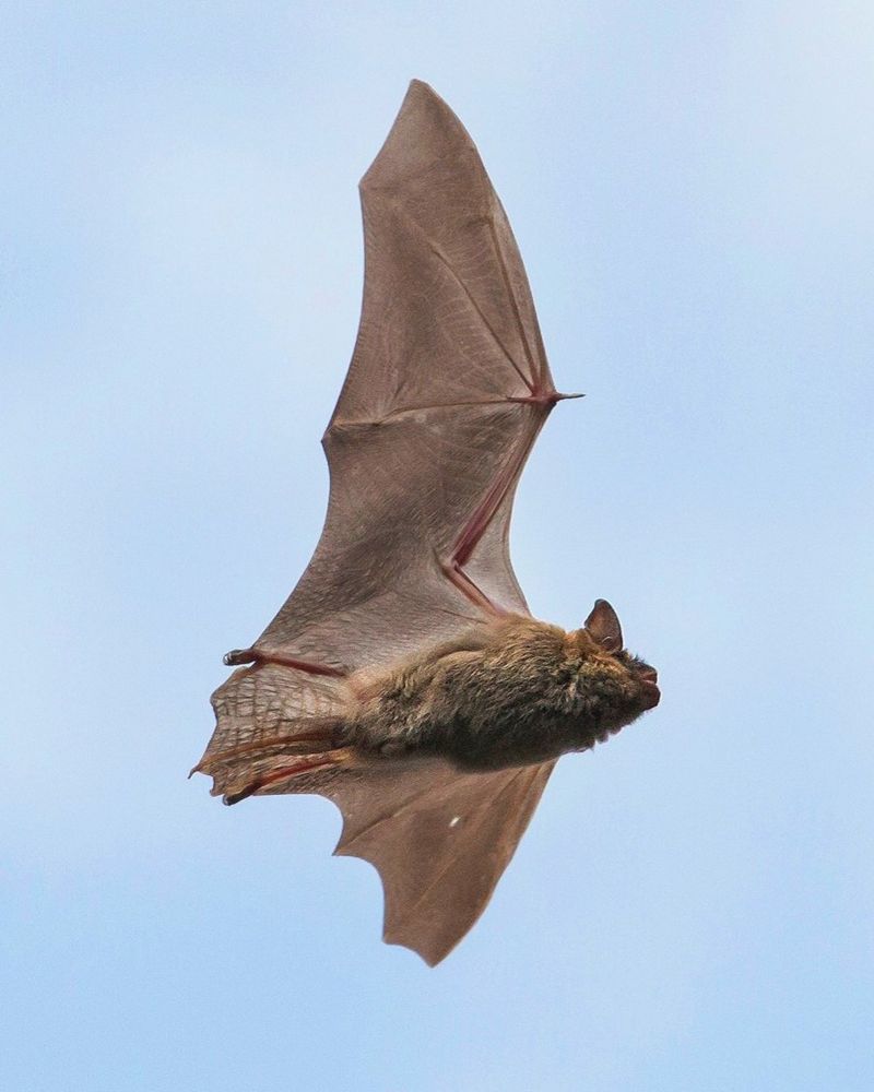 What the Sighting Can—and Cannot—Reveal