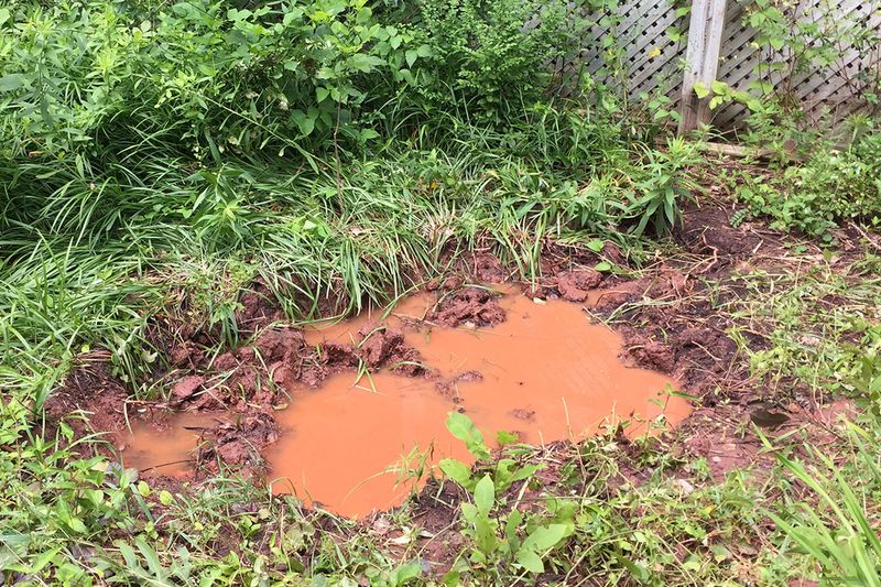 Heavy Clay Soil