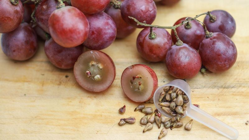 What commercial processing evidence says about a grocery bunch