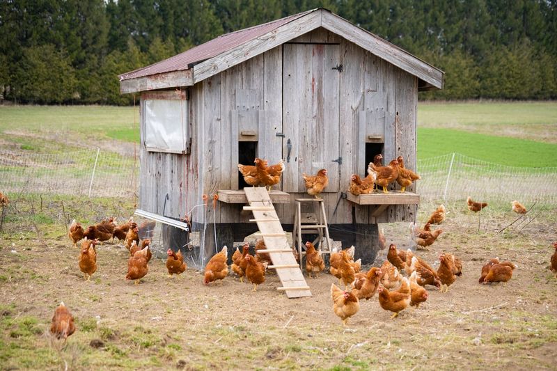 Protect pets and livestock during an encounter