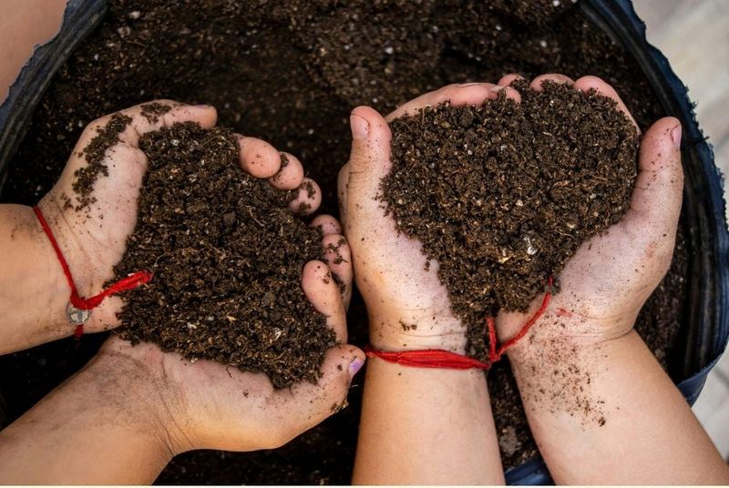 Test Soil Before You Reach for Fertilizer