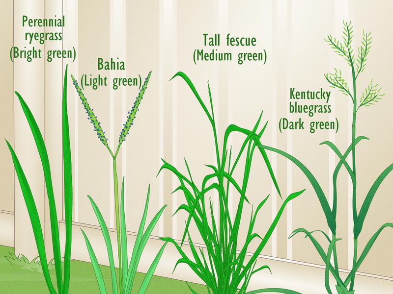 Identify the Grass Before You Raise the Deck