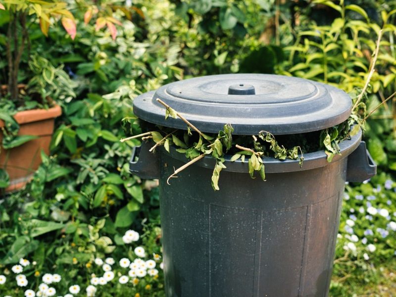 Follow local rules when disposing of diseased debris