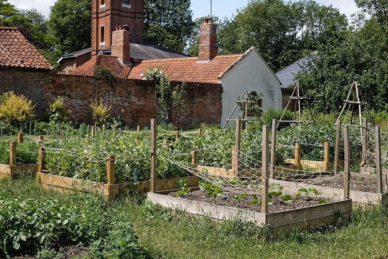 A Raised Bed Can Separate Roots From the Crop