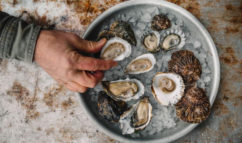 Shellfish (oysters, mussels, clams)
