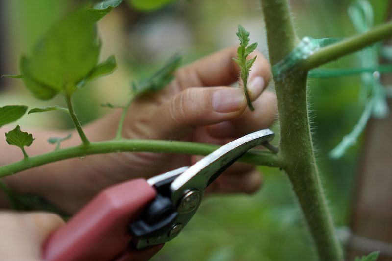 Small, clean cuts are safer than a major midseason overhaul