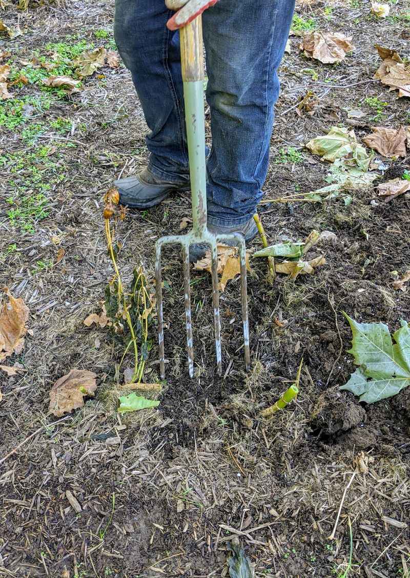 Dig Carefully With a Fork