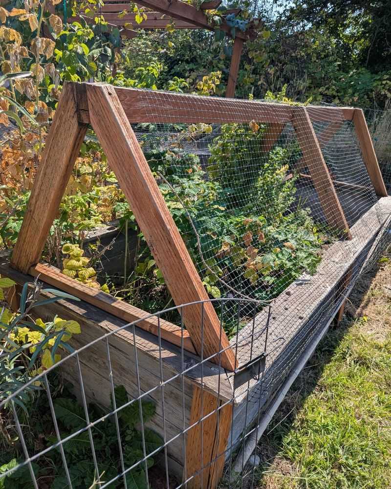 Physical barriers protect plants more reliably than guesses