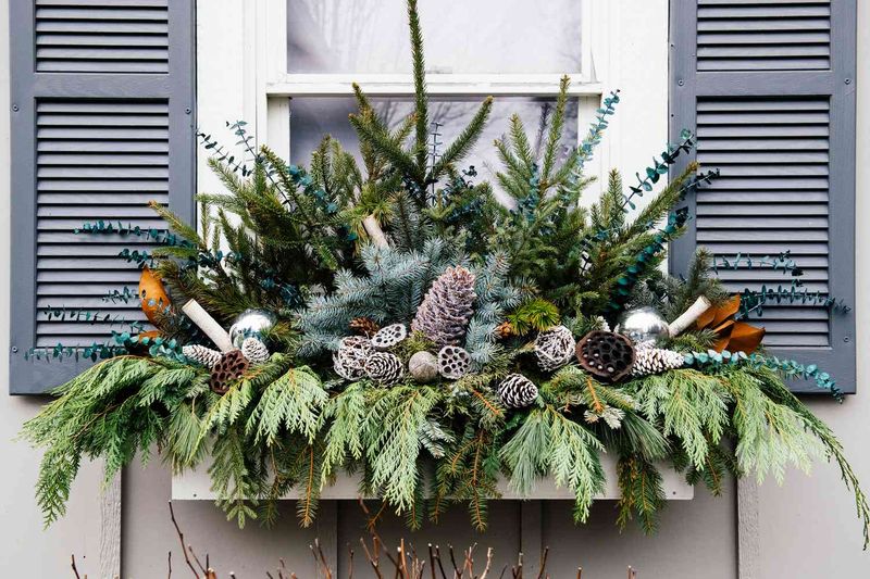 Classic Evergreen Elegance