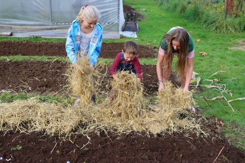 Use Mulch and Balanced Moisture Through the Season
