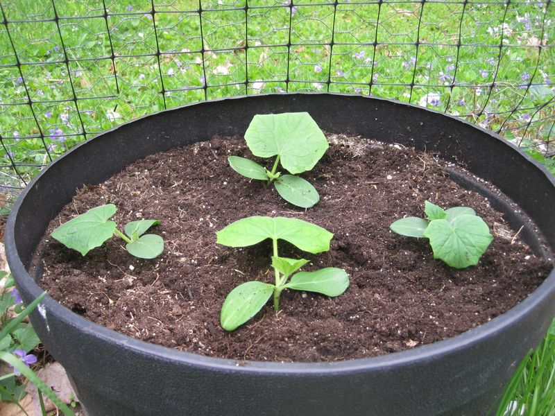 Choose the Right Container Size