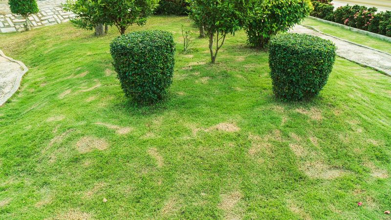 Use the pattern and location as clues, not as a diagnosis