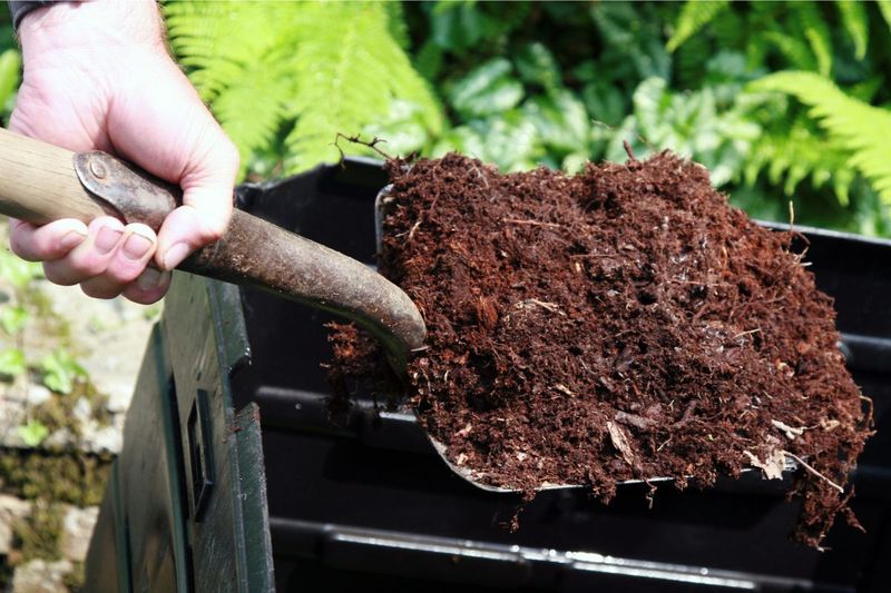 Fertilize Sparingly in Early Spring