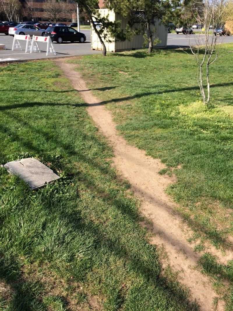 Hard footing and runoff may signal compaction—or another infiltration problem