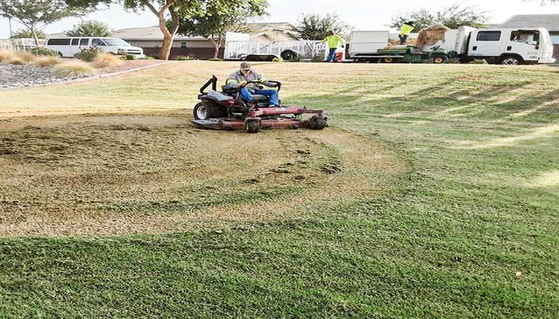 Mow Your Lawn Extra Short