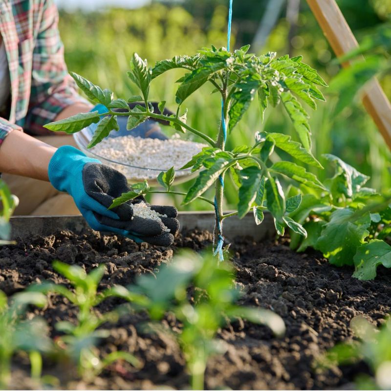 Supporting Overall Growth And Vigor