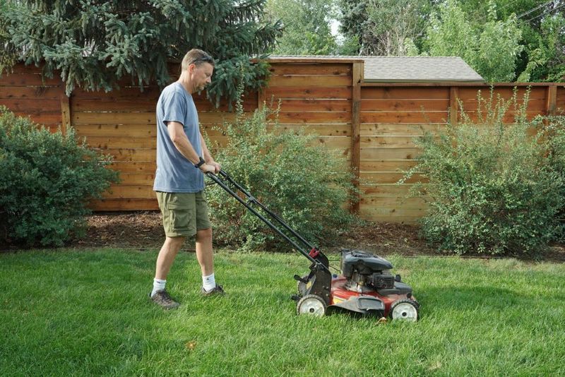 Mow Taller with Sharp Blades