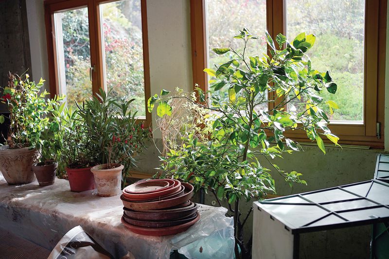 Follow a practical winter routine