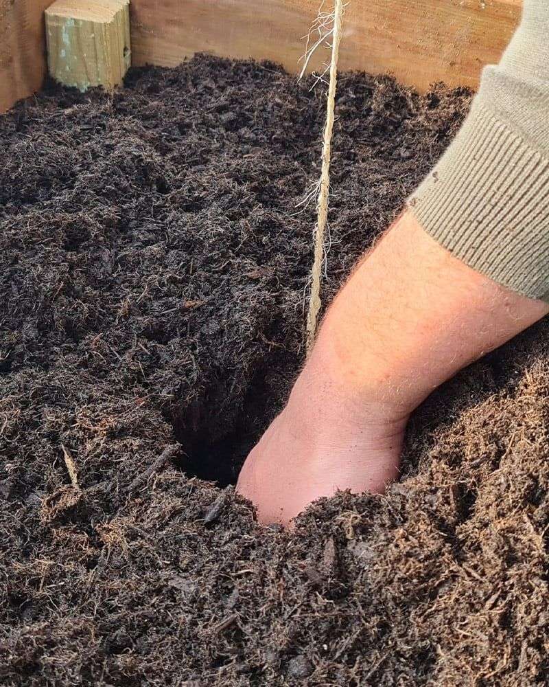 Compost or Well-Rotted Manure