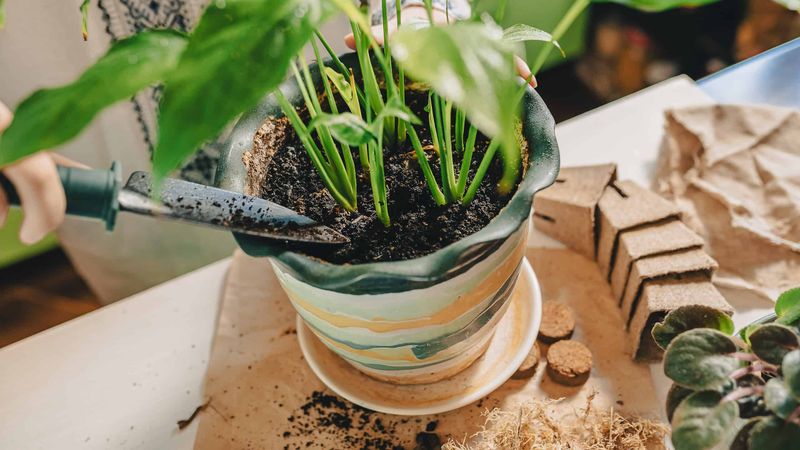 Manage Fertilizer Appropriately