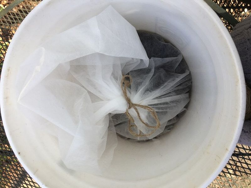 Brew a Batch of Compost Tea