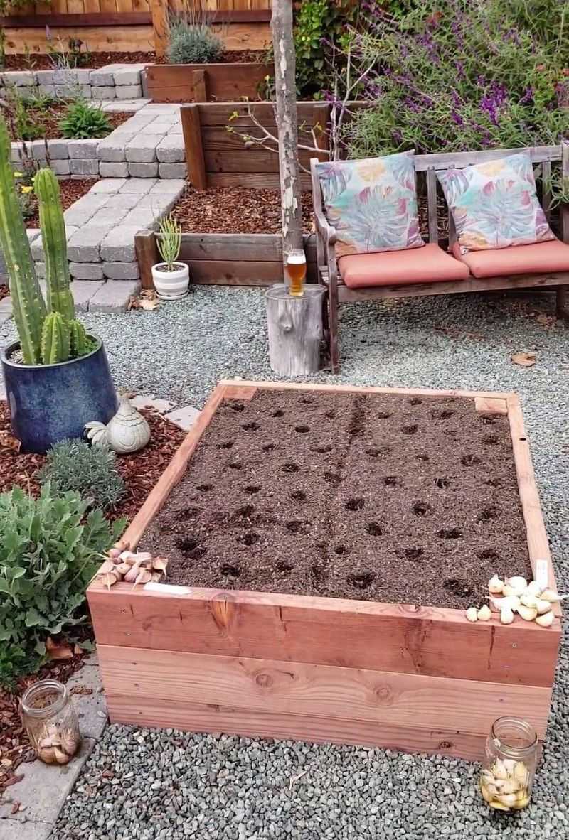 Sun and drainage set up the bed for success