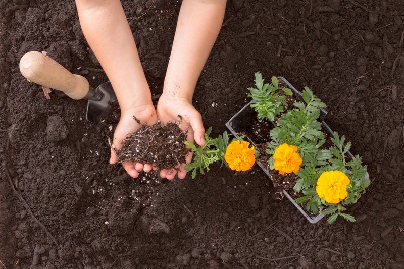 They Feed The Soil When The Season Ends